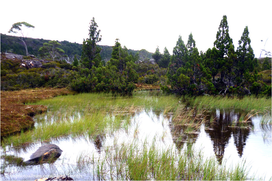 Chapter Lake